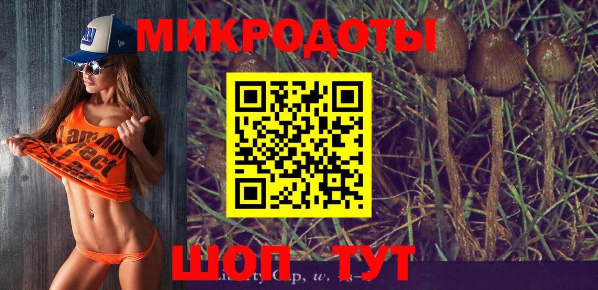 Псилоцибиновые грибы GOLDEN TEACHER Липецк